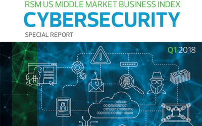 RSM Released Cyber Security Report