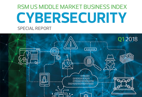 RSM Released Cyber Security Report
